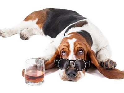 Eight (weird and wonderful) sleep tips you probably haven’t heard&nbsp;about